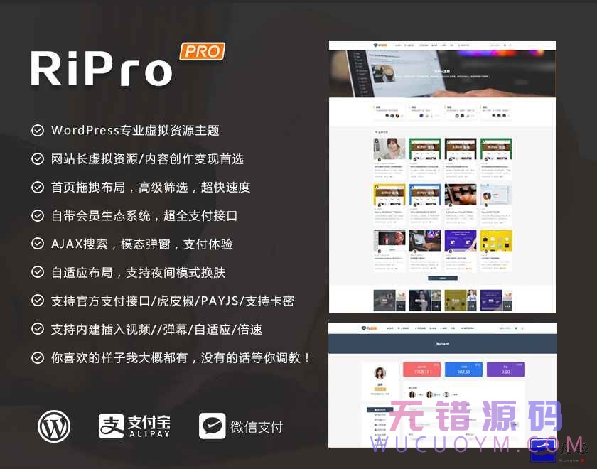 Ripro 日主题 9.1 开源修正版